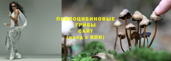 каннабис Беломорск