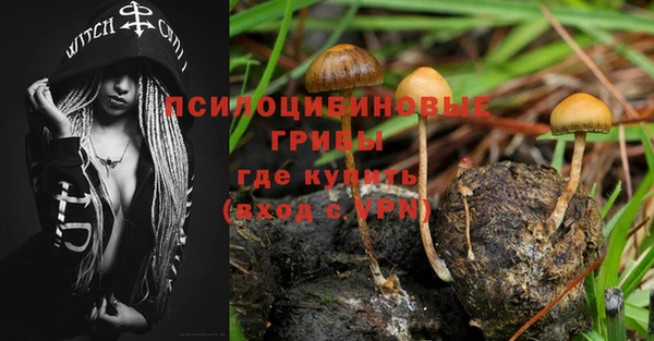 альфа пвп Белокуриха