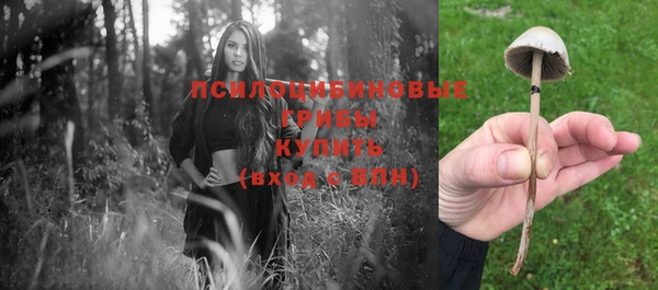 каннабис Беломорск