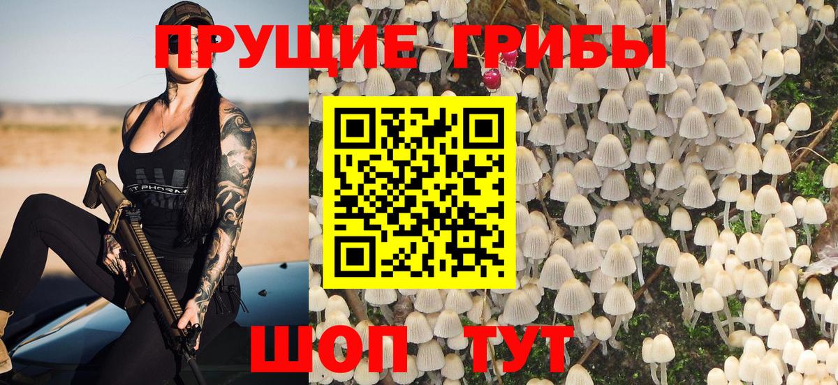 Галлюциногенные грибы GOLDEN TEACHER Вязники