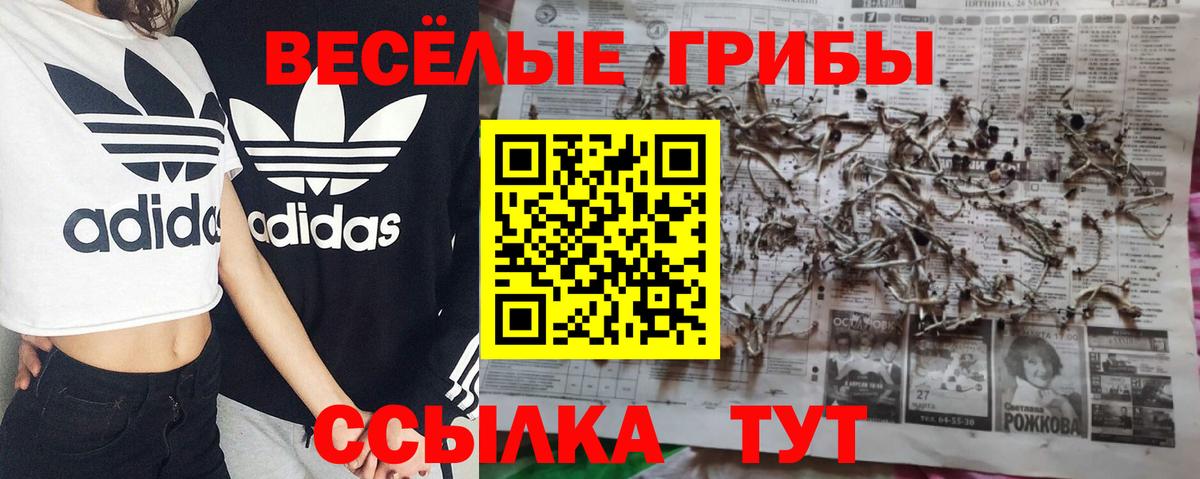 Псилоцибиновые грибы Cubensis  Галлюциногенные грибы MAGIC MUSHROOMS  Вязники 